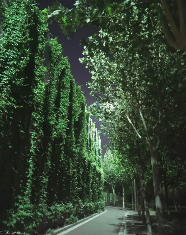 亦庄 · 半路