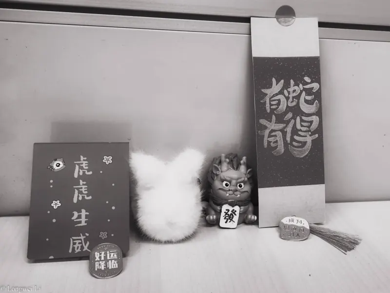 公司 · 虎兔龙蛇