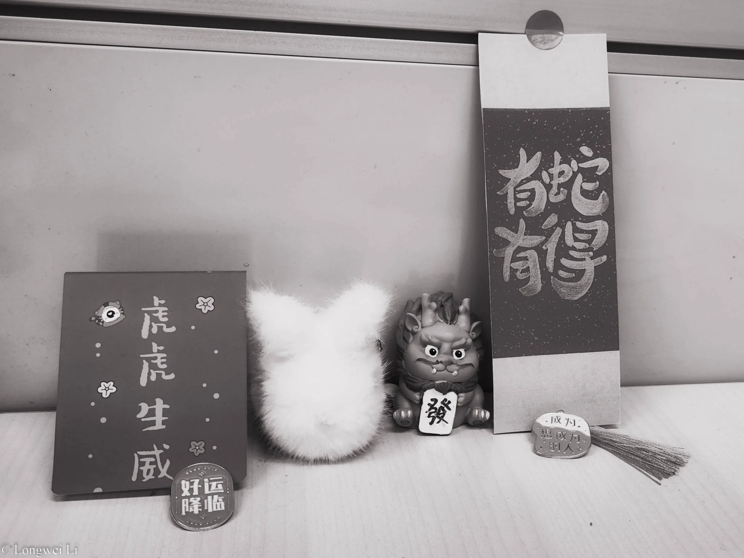 虎兔龙蛇
