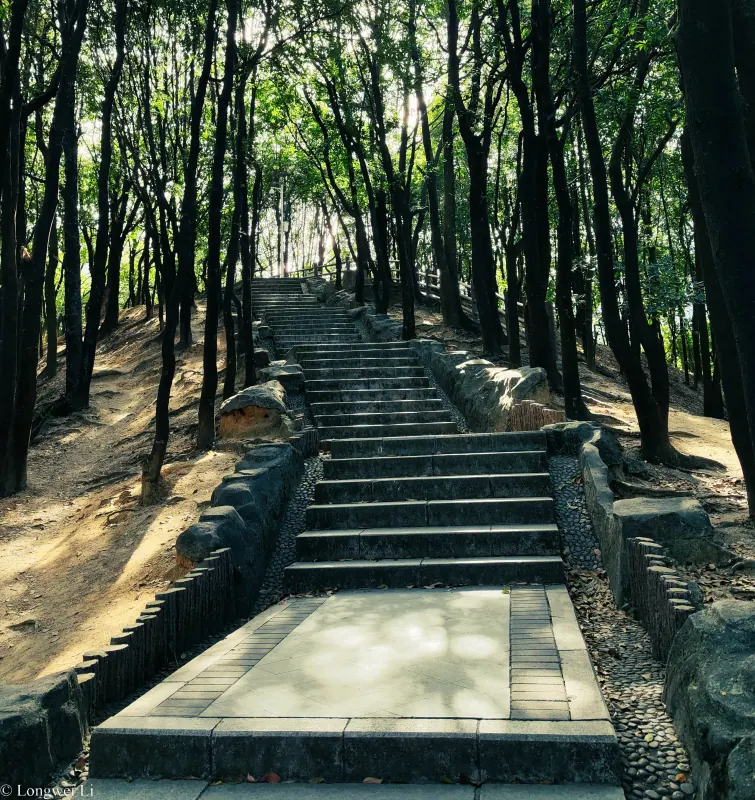 深圳 · 山道漫长