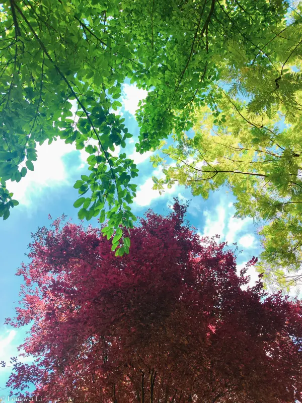 重庆 · 江边小憩