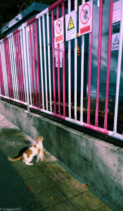 深圳 · 有人，快跑！