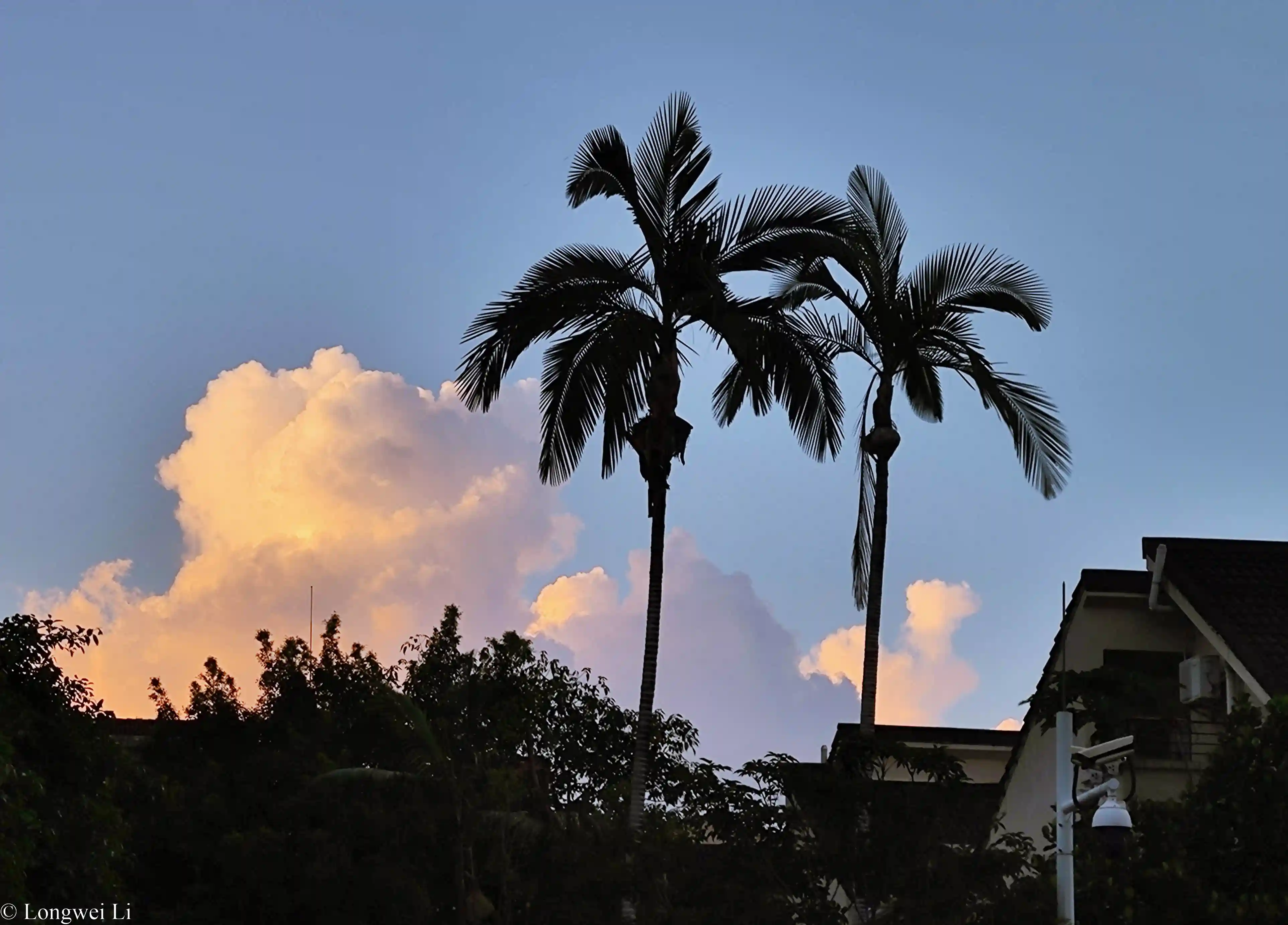 深圳 · 炎夏